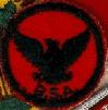 eagle patrol patch